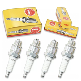 NGK Spark Plugs